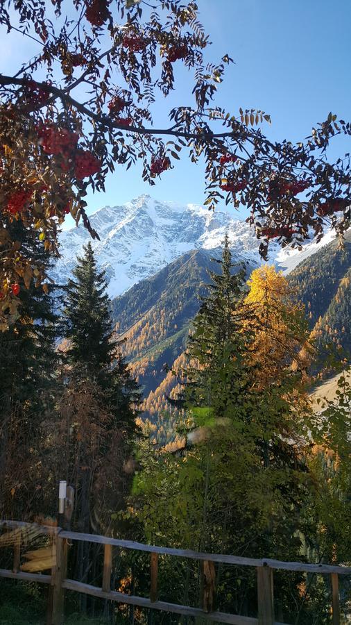 Gasthof Waldruhe Solda Esterno foto